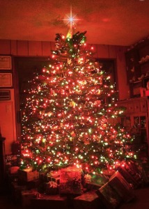 christmas vacation on tv WDBR